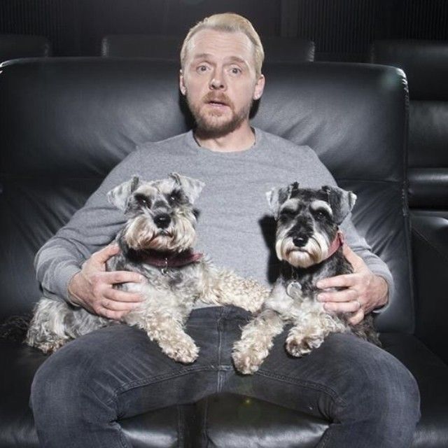 Simon Pegg és schnauzere